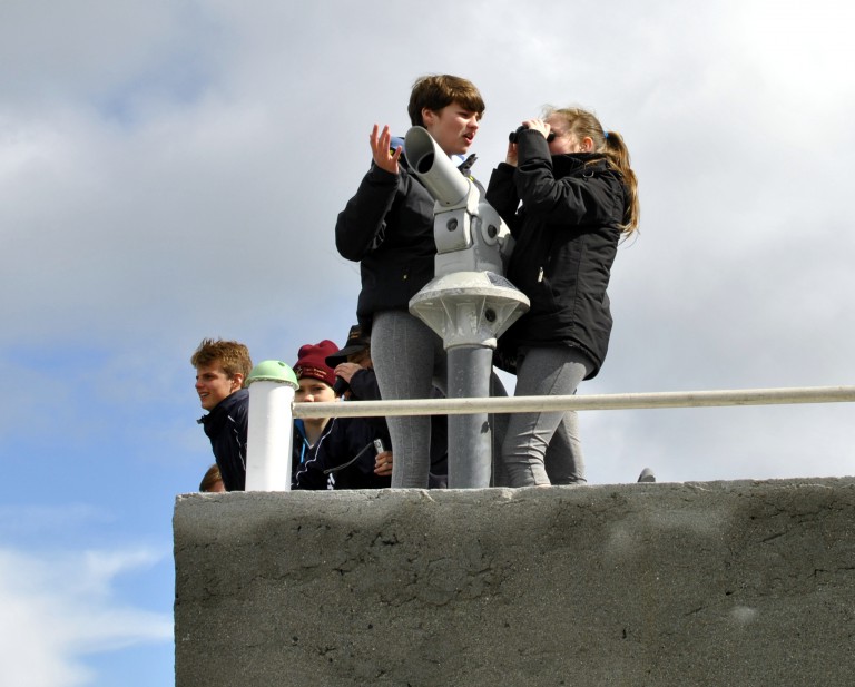 _DSC0166 | Newpark Comprehensive School, Dublin, Ireland